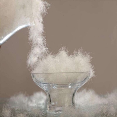 六安市海洋羽毛:做大皖西白鵝品牌,振興地方經(jīng)濟發(fā)展