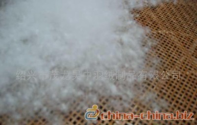 供應(yīng)白鵝絨(圖) - 中國制造交易網(wǎng)
