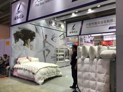 六安海洋羽毛:圍繞專精特新做強 帶動農民致富