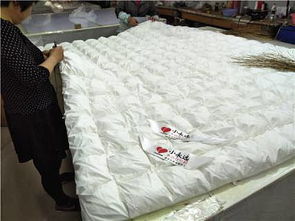 淮安市淮安區(qū)鑫豐羽絨制品廠 最新市場(chǎng)供求動(dòng)態(tài)與產(chǎn)業(yè)前景分析